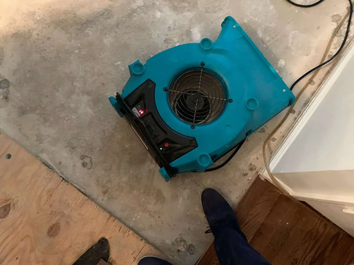 Air mover drying subfloor during Leak Detection & Repair in Sutherlin